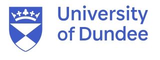 University_of_Dundee_188c184532.jpg